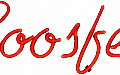 Blog 11 How fantastic was that?