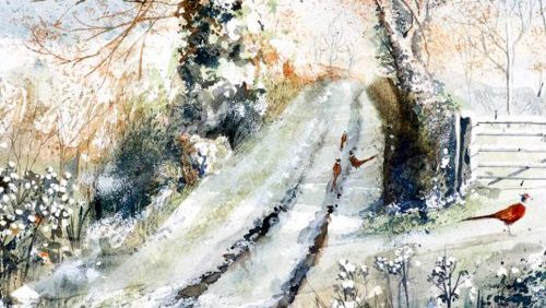 Home Pheasants 500x500 1 e1763030377120